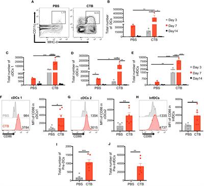 The cholera toxin B subunit induces trained immunity in dendritic cells and promotes CD8 T cell antitumor immunity